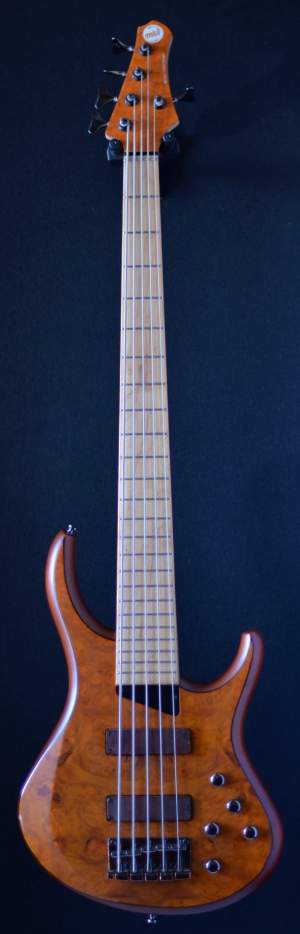 GUITARE BASSE MTD 5 STRING - Bass guitar on Aster Vender