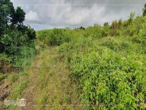 Agricultural land of 76.5 perches for sale in Mont Ida  - Land on Aster Vender