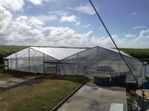 Greenhouse plastic - Others on Aster Vender