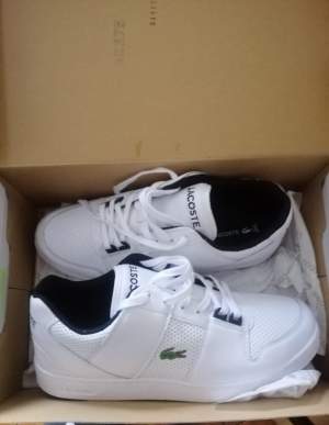 Baskets Lacoste - Other Footwear on Aster Vender