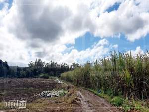 Agricultural land of 2 A in la Flora - Land on Aster Vender