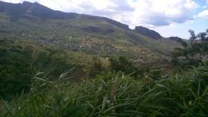 Agricultural Land - Land on Aster Vender