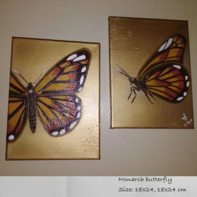 Monarch butterfly  - Paintings on Aster Vender