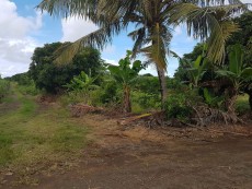 45 Ps Residential land in St François, Calodyne  - Land on Aster Vender