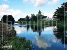 **  11 ½ Ps Residential land  * *    - Land on Aster Vender