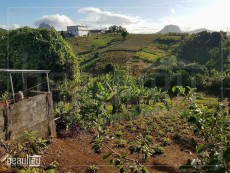 ** 24 Perches Residential land in Congomah* *     - Land on Aster Vender