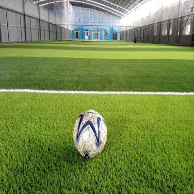 Best 40mm,50mm,60 mm Artificial Turf Grass Fibrilatted football soccer - Football equipment on Aster Vender