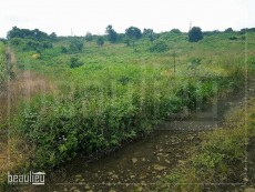 1 arpent agricultural land in Nouvelle Découverte - Land on Aster Vender