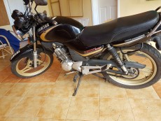 Yamaha YBR125cc - Roadsters on Aster Vender