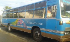 Bus for sale - Standard bus on Aster Vender