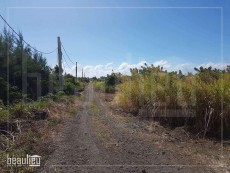 ** 1 A 20 Perches residential land in Goodlands, St Antoine ** - Land on Aster Vender