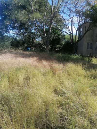 Land for sale at Calodyne - Land on Aster Vender