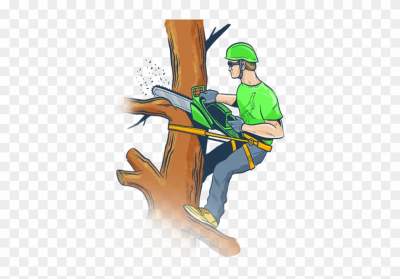 Tree cutting - Cleaning services on Aster Vender