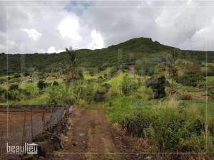 **50 Perches Agricultural land, Congomah** - Land on Aster Vender