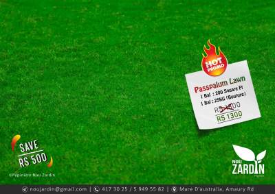 Paspalum Lawn Promo - Call on 59495582 - Plants and Trees on Aster Vender