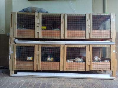 Chicken cage for sale - Poultry on Aster Vender