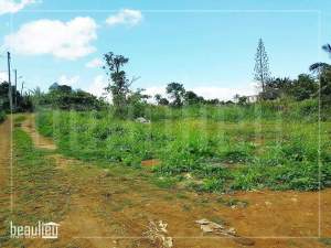 7 perches land in  Petit verger, St pierre  - Land on Aster Vender