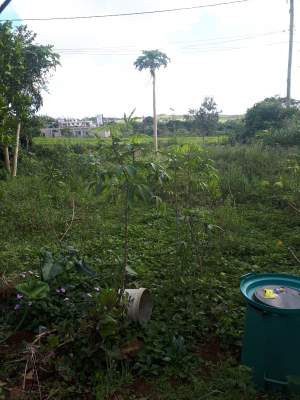 Residential land for sale  - Land on Aster Vender