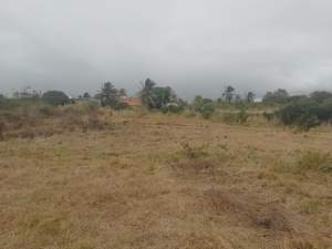 37 perches  land at Kashmir Road, Melville @ Rs 120,000 / perche - Land on Aster Vender