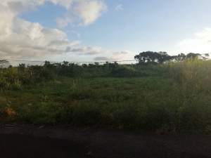 45 perches land in St Julien D'Hotman @ Rs 85,000/perche slightly nego - Land on Aster Vender