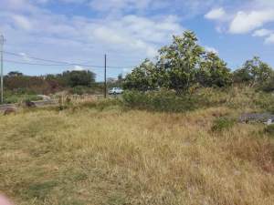 1 arpent 36.55 perches land in Royal Rd, Sottise @ Rs 220,000/perche  - Land on Aster Vender