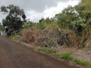 2 plots of 14.5 perches at Jankee Road, Gokoola @ Rs 85,000/perche - Land on Aster Vender