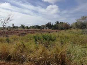 2 plot of 11 perches in The Vale, Sottise each @ Rs 1,550,000 negoti - Land on Aster Vender