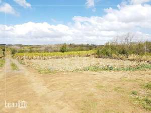 26 Perches Residential land,  Grand Baie - Land on Aster Vender