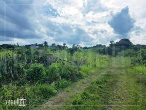 45,5 Perches Agricultural land for sale in Bois d'Oiseaux  - Land on Aster Vender