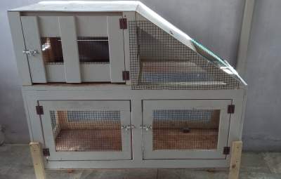 Chicken coop (urgent sale) - Birds on Aster Vender