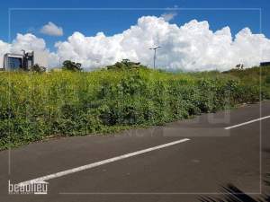 7 Perches residential land in Goodlands - Land on Aster Vender