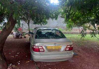 Nissan Sunny N16 - Compact cars on Aster Vender