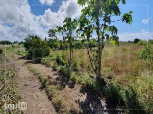 Agricultural land of 50 perches is for sale in Poste De Flacq - Land on Aster Vender