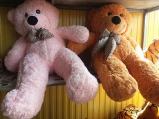 Peluche for sale - Other Indoor Sports & Games on Aster Vender