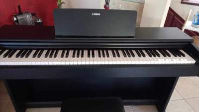 Piano - Piano