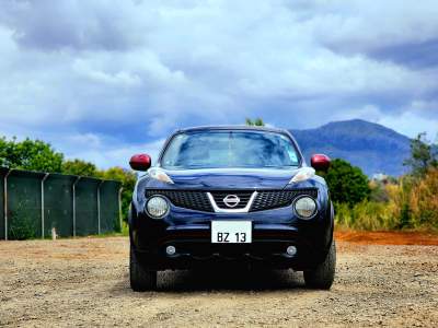 Nissan juke-2013 - Family Cars