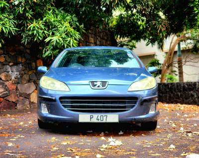 Peugeot 407-2008 - Family Cars on Aster Vender