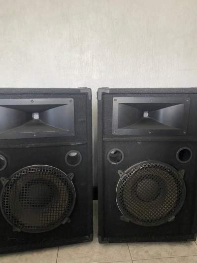 Speaker 13” pair - Other Studio Equipment