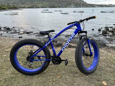 Dinos Fat Bike - Mountain bicycles