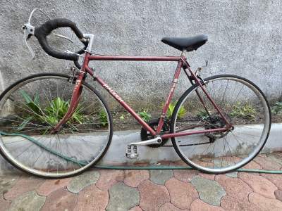 Raleigh bicycle - Other Vintage Vehicle