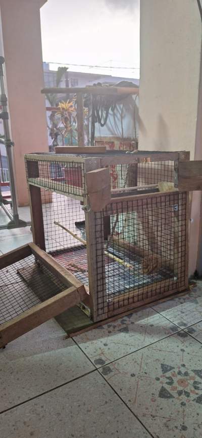 Bird cage for peruche, cockatiels, love birds - Birds