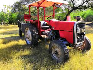 Tracteur Ferguson et remorque  - Tractor on Aster Vender