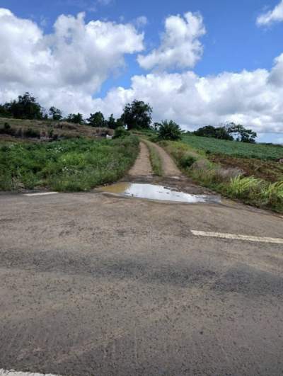 Land 25 perches at Robinson street, la foret, Curepipe - Land