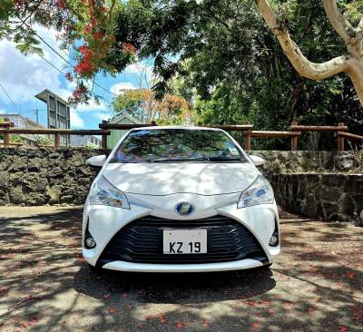 Toyota Vitz Hybrid - 2019 - Compact cars