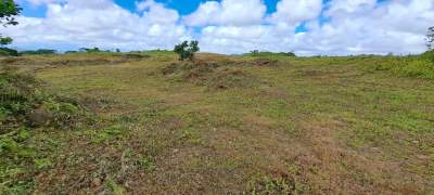 A vendre terrain - Land