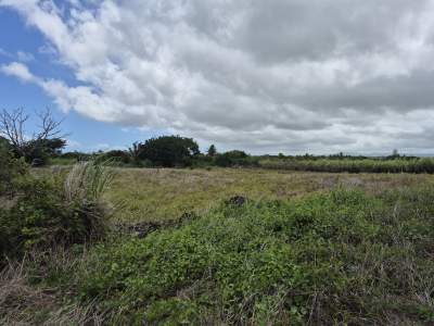 Residential/commercial land for sale - Land