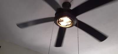 Ceiling fan - All household appliances