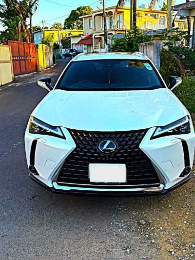 Lexus UX 300e 2021 - SUV Cars