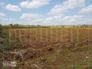 Agricutural land of 1 arpent 65 perches in Fond Du Sac - Land on Aster Vender