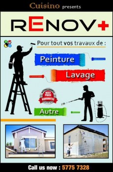 Travaux de Peinture, Lavage, autre. - Home repairs & installation on Aster Vender